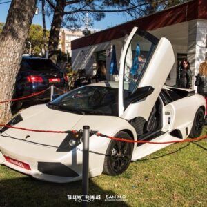 28B8D8E1-6622-4DCF-AD2E-A336DE4600DF_1_105_c