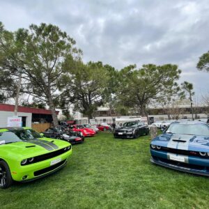 53905178-1612-4FF5-88A2-8873003F7F98